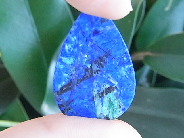 BU00333F �֥롼�С��ɡ������饤��