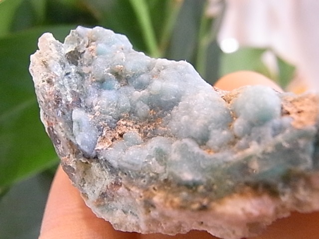 BU00459F�����ۥ��������ꥫ�륻�ɥˡ���������