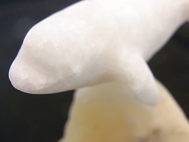 CA00036F�����륫�������С����륵���ȡ�