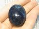 LY0003F �ӥӥ��ʥ��ȥ롼�� �������ȥ�ꥢ��