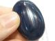 LY0002F �ӥӥ��ʥ��ȥ롼�� �������ȥ�ꥢ��
