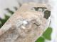 BU00261F �ۥ磻�ȥ����ǥ󥯥�����
