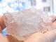 BU00283F �Х����顼�ե����饤�ȡ��ѥ�������