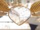 PA00025F ANGEL WING NACKLACE��Lei�� �������������ĥͥå��쥹