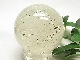 SEM0038 �ҥޥ��徽 62mm�ݶ̡ʿ����ꡦ�ޥ˥���󻺡�