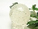 SEM0039 �ҥޥ��徽 51mm�ݶ̡ʿ����ꡦ�ޥ˥���󻺡�
