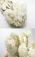 CMM0131 ����ӥ�饤�ȸ���