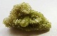 CM00385�ڵ������С� �٥��ӥ��ʥ���