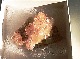 CM00386�ڵ������С� �٥��ӥ��ʥ���