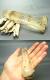 CMM0044���ԥ󥯥�������