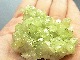 CMM0055�ڵ������С� �٥��ӥ��ʥ���