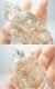 CBM0071 �ҥޥ��徽 ���͡�������
