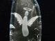 PK00251F �徽��ŷ�ȥڥ����ȥإåɡ�(�֥饸�뻺)