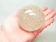 SEM0038 �ҥޥ��徽 62mm�ݶ̡ʿ����ꡦ�ޥ˥���󻺡�