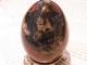 EK00028F ������Т�桼�ǥ����饤�ȡ����å���(��������)
