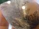 BU00418F �ǥ�ɥ���å���������
