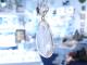 PA00017F ANGEL Quartz(Lei) ���᥸���ȡ��徽 �ڥ����ȥȥå�