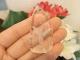PK00251F �徽��ŷ�ȥڥ����ȥإåɡ�(�֥饸�뻺)