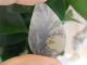 BU00418F �ǥ�ɥ���å���������