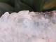 BU00286F ���ޡ�����