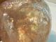 PRK0003F �ԥ󥯥ե����饤�ȡ��ݥ�å��� �ڴ����С�