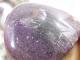 BU00143F ���ƥ��ҥ����ȸ��С���եꥫ��