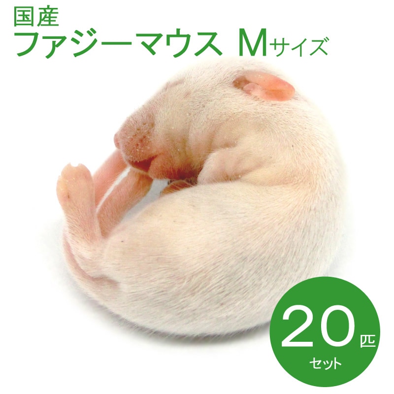 ����ޥ��� �ե����� M  20ɤ �� SAfarm