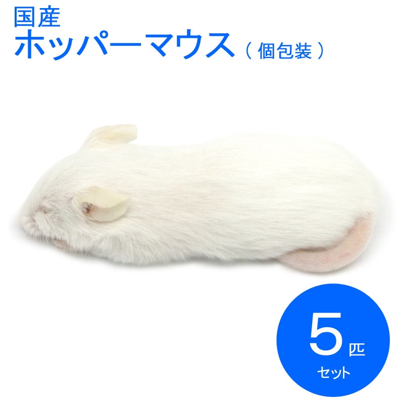 ޥ ۥåѡ 5ɤ  SAfarm