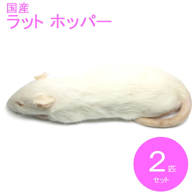 �����å� �ۥåѡ� 2ɤ RH �� SAfarm