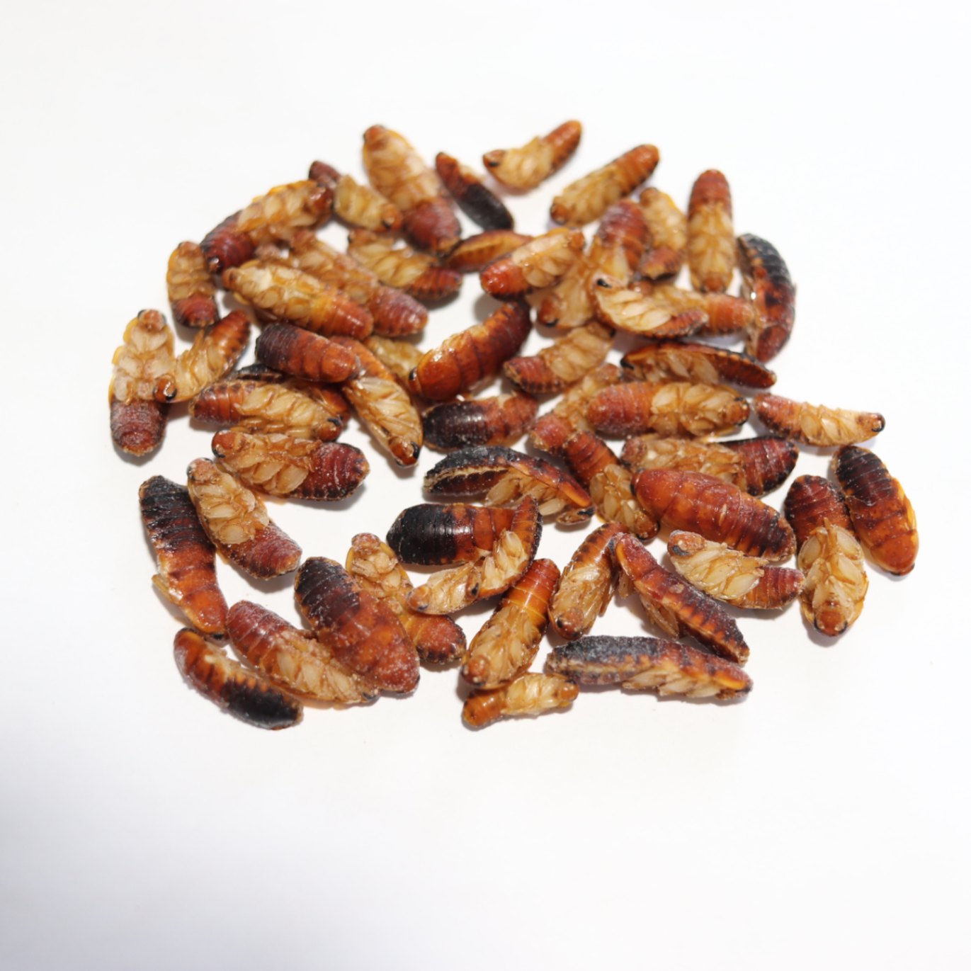 冷凍ラット 43g前後 300匹セット 冷凍ラット 43g前後 300匹セット 冷凍ラット 43g前後 300匹セット 冷凍