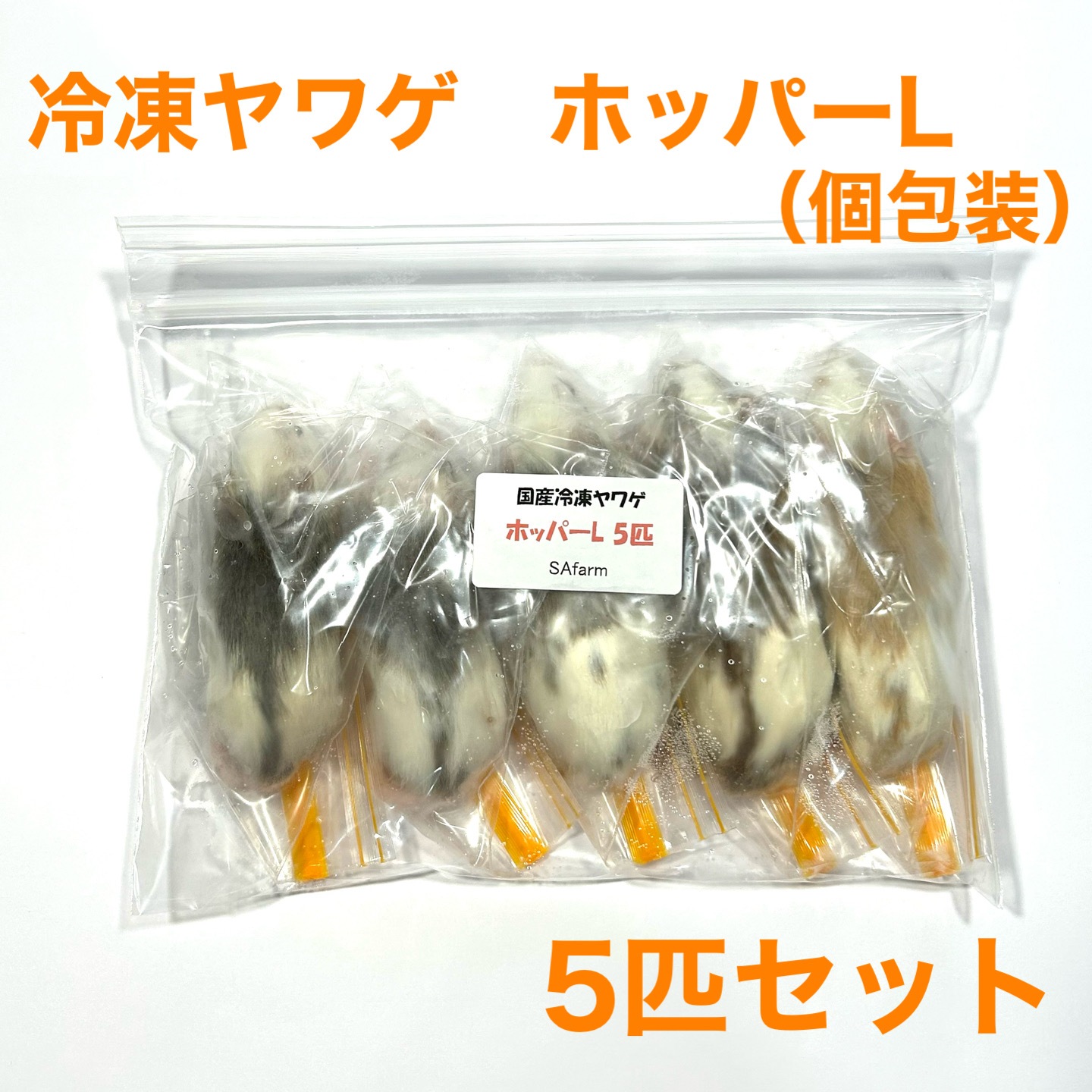 �����沈 �ۥåѡ�L 5ɤ �� SAfarm