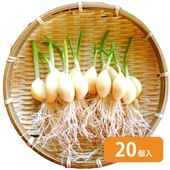 はねにんにく20個入り