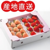 花 古都華&amp;淡雪 冷凍イチゴ 各６キロセット fruits-senri_sansyokuitigol2l