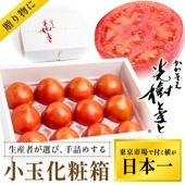 【中古】 はっぴい倶楽部 ４/双葉社/永田トマト KOGATOMATO レギュラー4kg箱｜古賀とまと農園