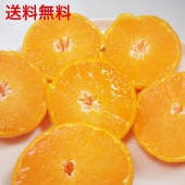 有機JAS認定急速冷凍みかん　サイズ混合3kg（40個前後）