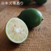家庭用！マイヤーレモン（キズ等あり）【3kg】