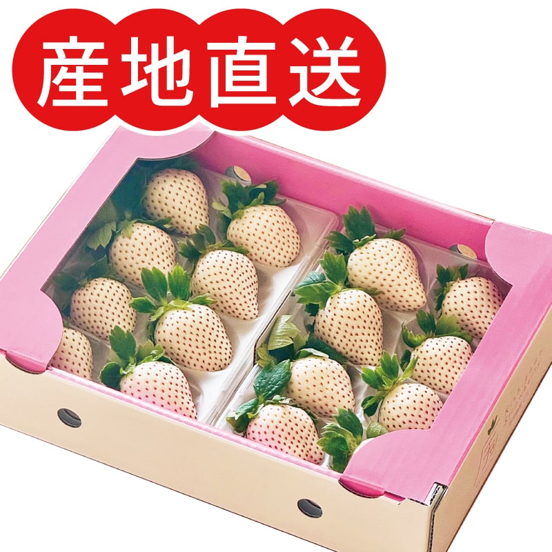 佐賀県産イチゴ こころの色(約220g×2パック) | 商品一覧,果物,いちご