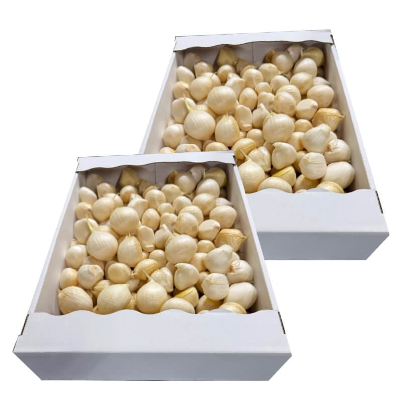 有機栽培ジャンボにんにく・バラ3kg(箱入り) | 商品 | さがまちショップ
