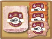 本麗 SR-301