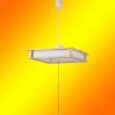 �������ŵ���������Ĵ��LED�����ڥ����ȥ饤�ȡʥץ륹���å�/12����/�������LT-W50DBG-W1