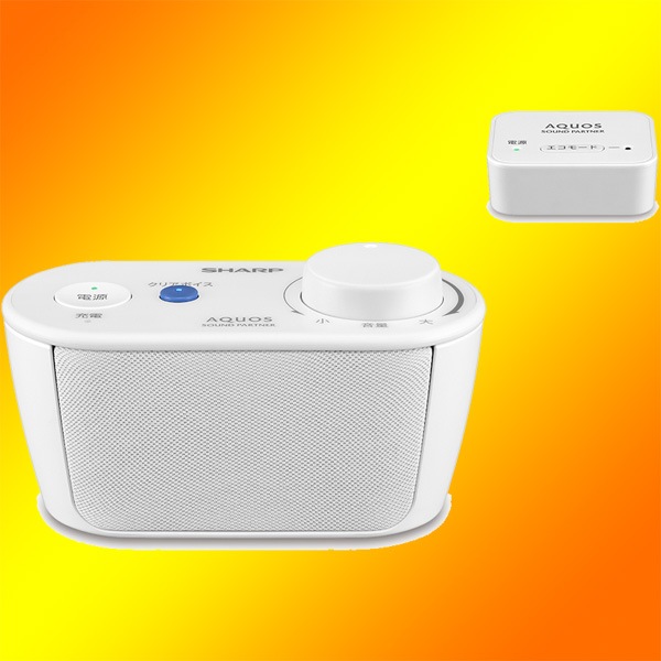 㡼ס磻쥹ԡƥࡡAN-WSP1