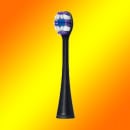 �ѥʥ��˥å� �ȡ����륱���֥饷��2�����ˡ�EW0810-K [��]