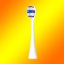 �ѥʥ��˥å� �ȡ����륱���֥饷��2�����ˡ�EW0810-W [��]