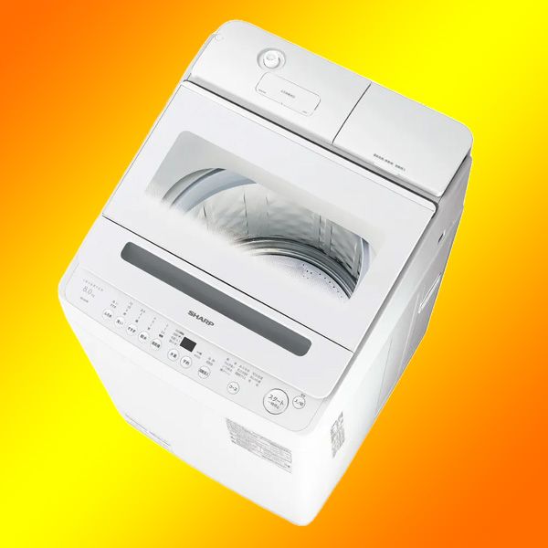 ���㡼�� ��ʤ��� ����ư������ ES-SV8K-W [�ۥ磻�ȷ�]