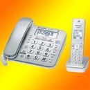 �ѥʥ��˥å� �����ɥ쥹���õ��ʻҵ�1���դ��� VE-GD28DL