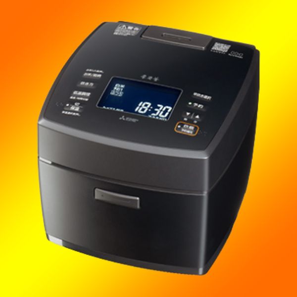 ��ɩ�ŵ� ��ú�� NJ-VW10H-B [ú����]