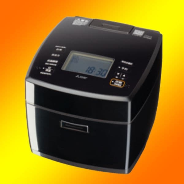 ��ɩ�ŵ� ��Ĺú ú��� NJ-VS10H-B [����]