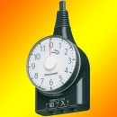 �ѥʥ��˥å���������륿���ޡ���11���ַ��ˡʣ����ˡʥ֥�å��� WH3111BP