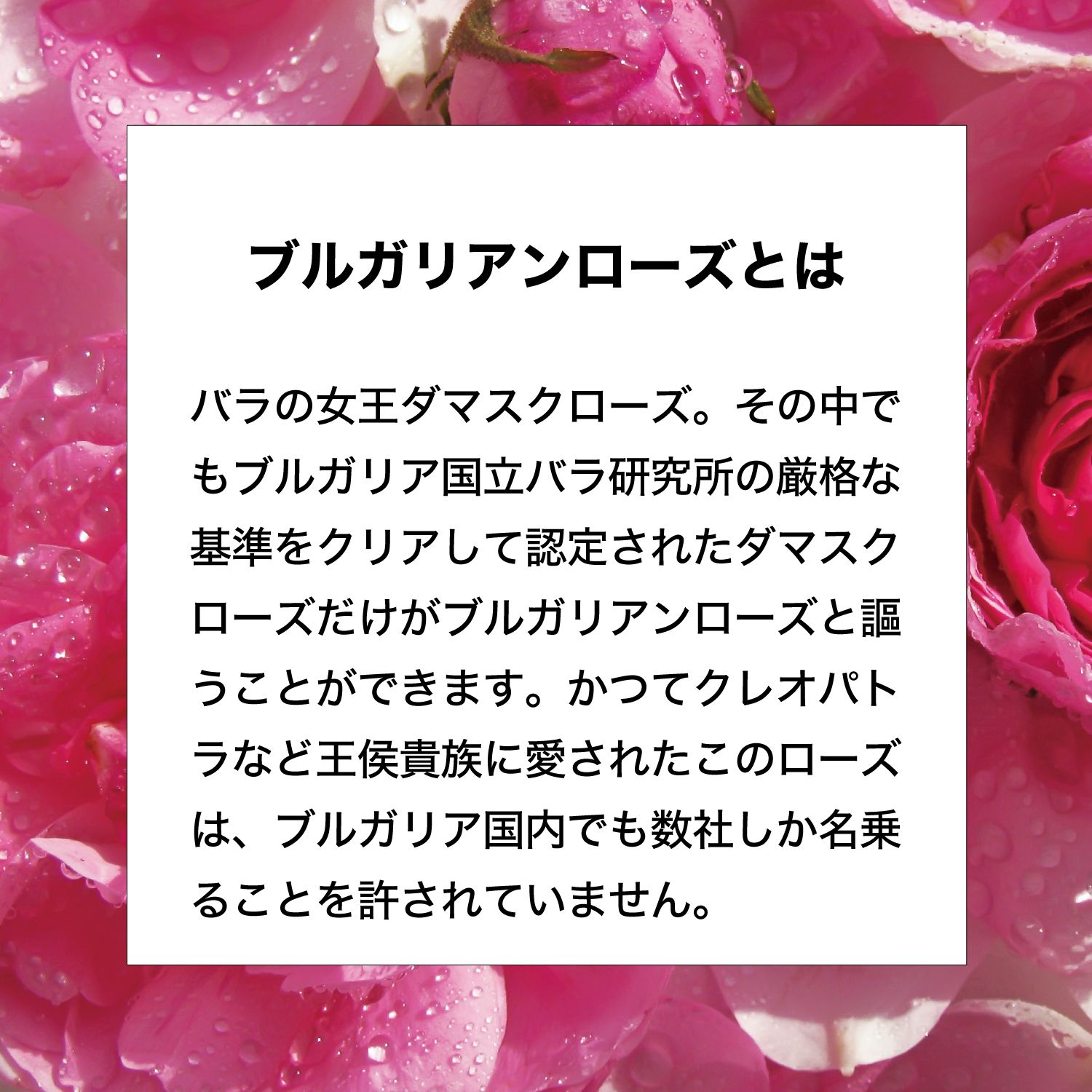 アルテヤオーガニック ブルガリアンローズ フェイスセラム（美容液
