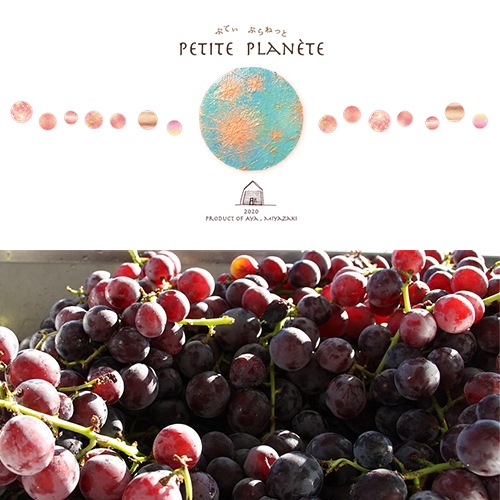 2023 PETITE PLANETE ぷてぃ ぷらねっと 香月ワインズ 宮崎県綾町産